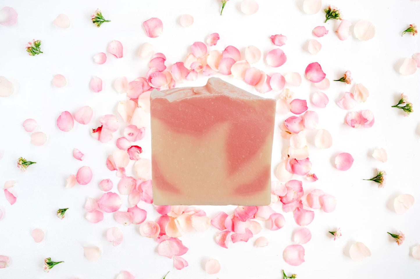 𝐏𝐞́𝐭𝐚𝐥𝐞𝐬 𝐝𝐞 𝐫𝐨𝐬𝐞𝐬